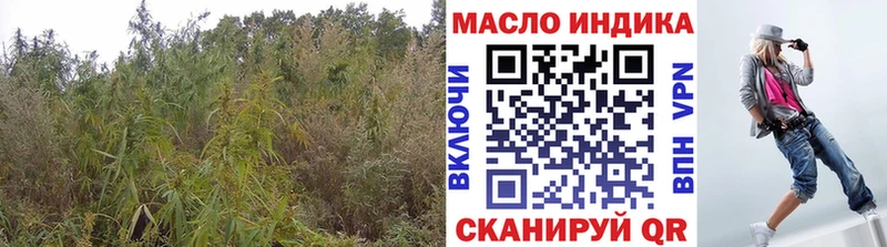 Купить  Тверь  ТГК концентрат 