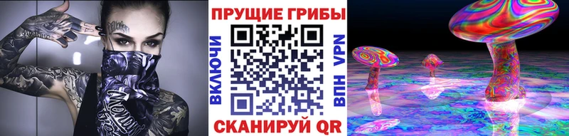 Псилоцибиновые грибы ЛСД  Купить где  Тверь 
